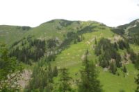 2015-06-25_05Drijaggenalm (104).JPG